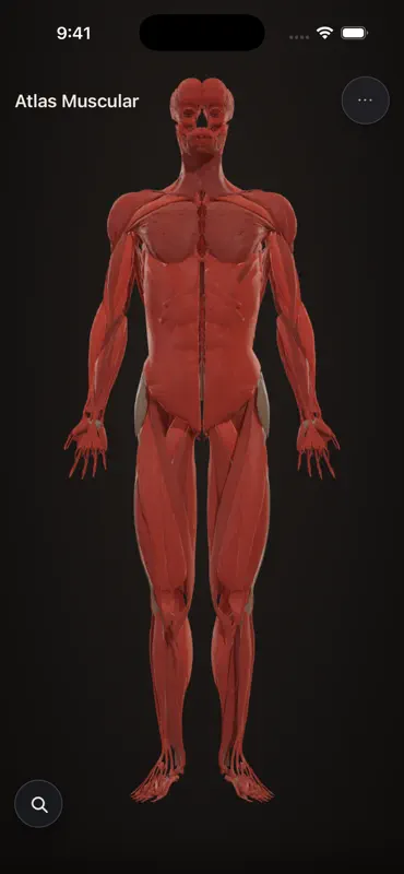 Atlas Muscular screenshot 1 of 5