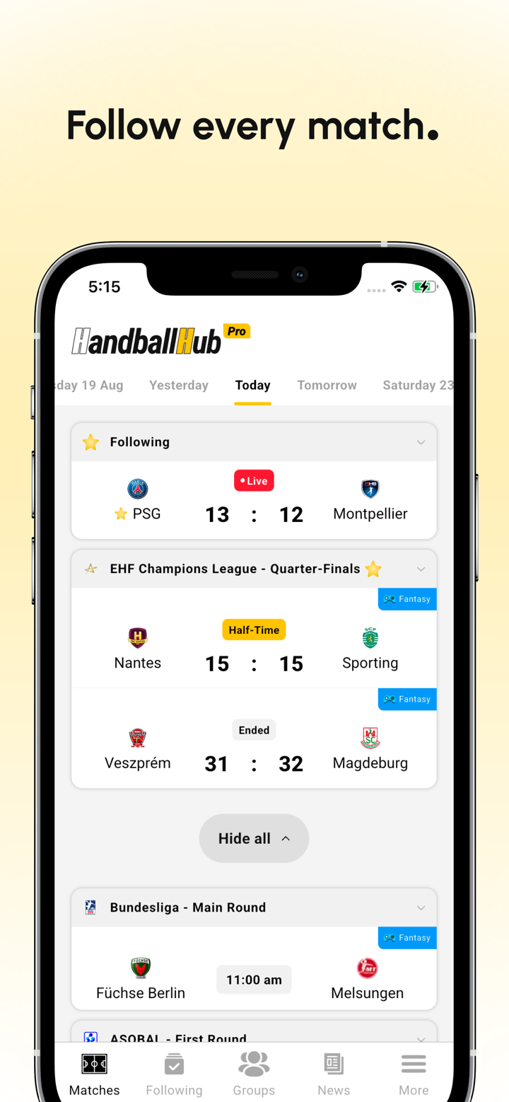 Handball Hub: Scores & Fantasy screenshot 1