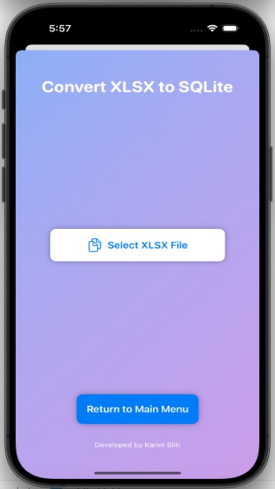Screenshot #3 pour Secure XLSX 2 SQLite Converter