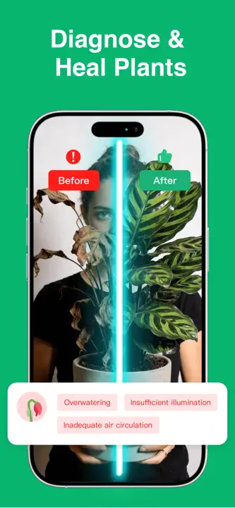 Plant Identifier: ChatPlant AI: Screenshot 7 von 8