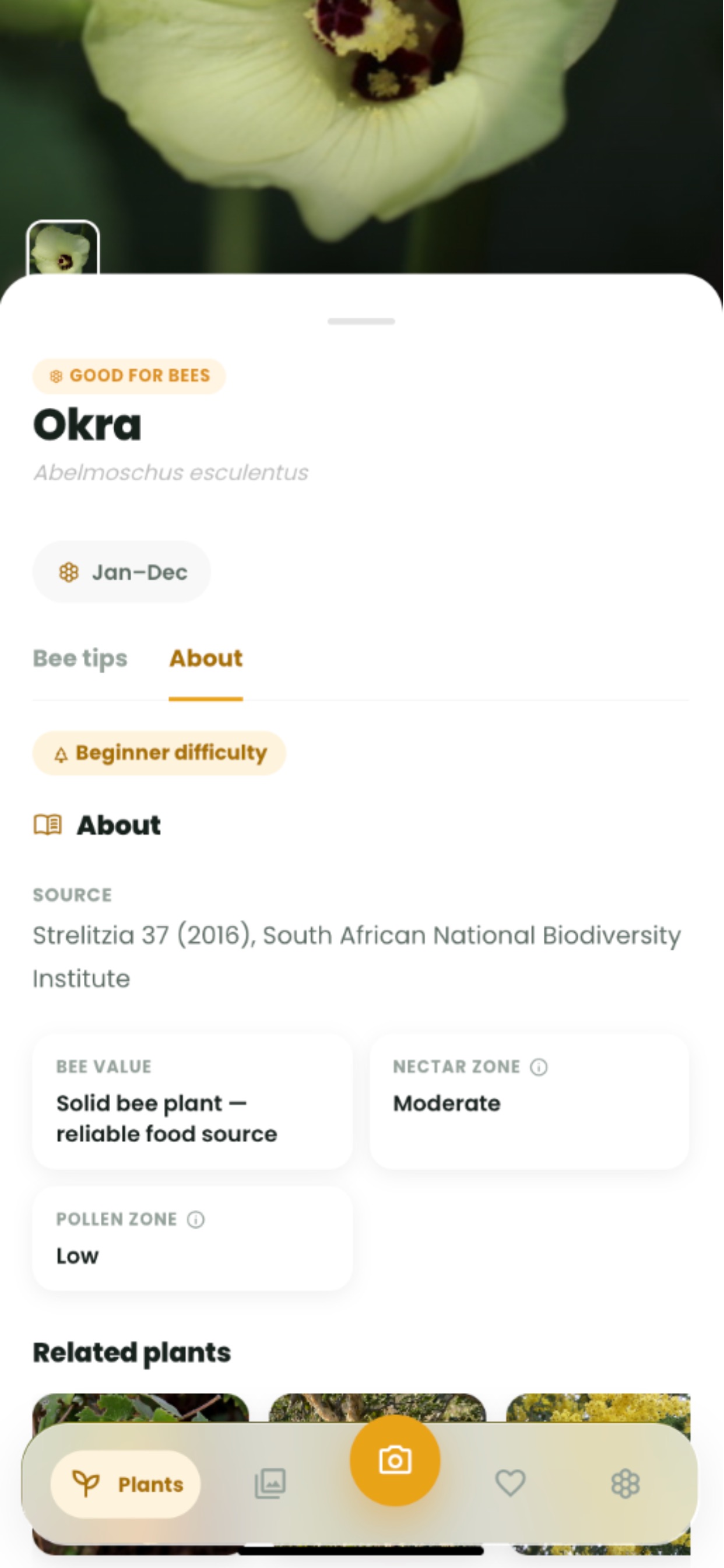 Screenshot 4 of BeeSanctuary