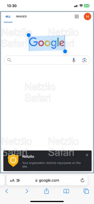 Netzilo Secure Browser screenshot 3