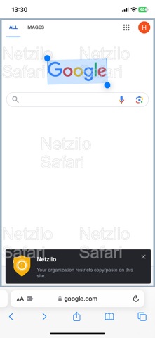 Netzilo Secure Browser Screenshot 3 of 3