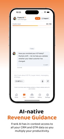 Frank AI screenshot