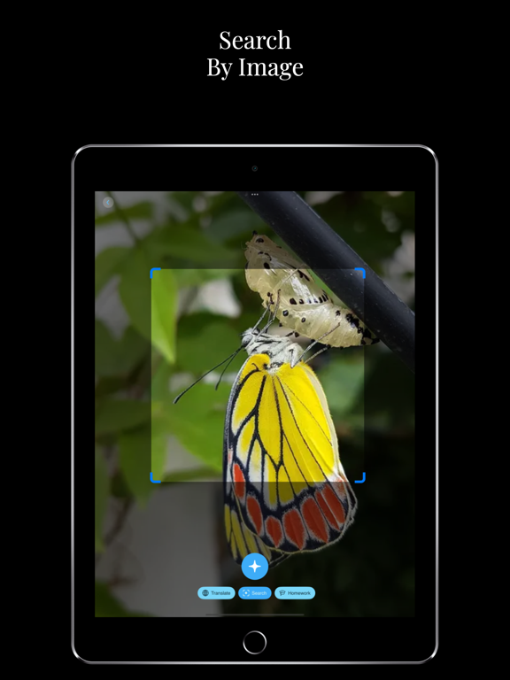 Identify Anything Lens.AI Scan iPad screenshot 4 - Reference app