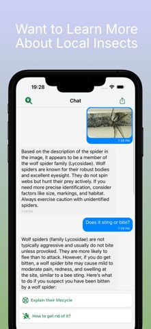 Insect & Bug Identifier AI screenshot