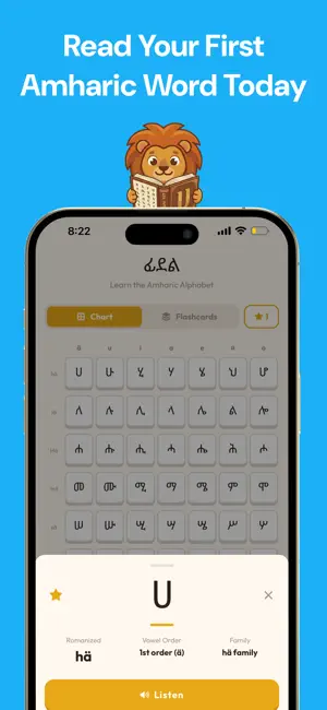 Selam: Learn and Speak Amharic screenshot 2