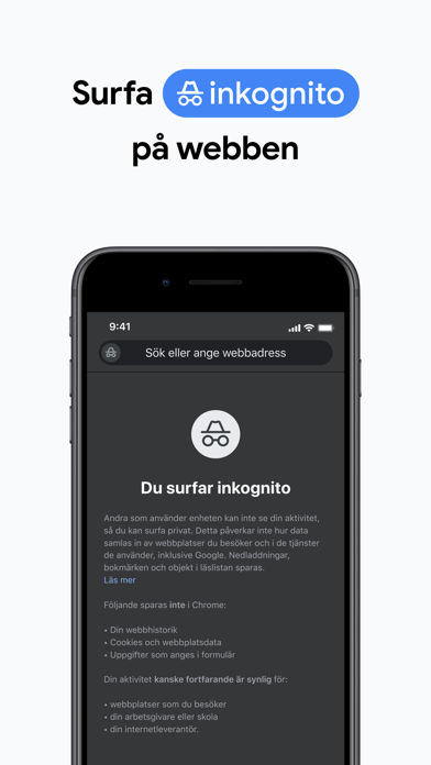 Google Chrome App Store preview screenshot 7