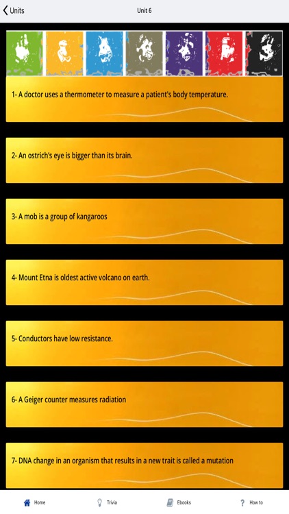 Knowledge 4 Ever screenshot-3