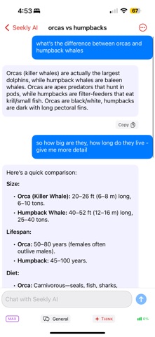 Seekly AI - Ask and Chat screenshot