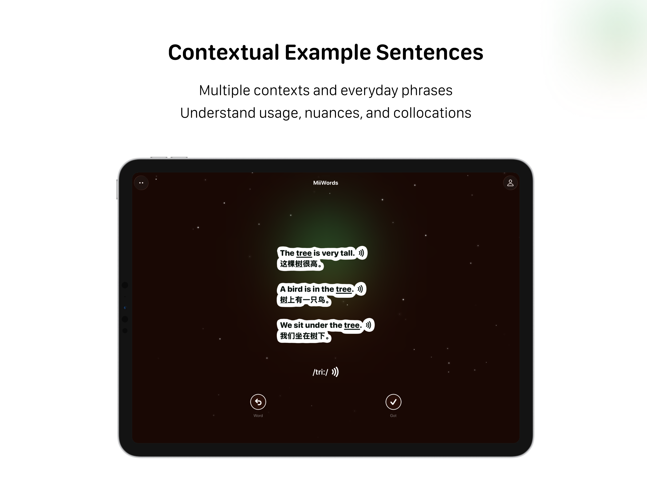 MiiWords - English Flashcards