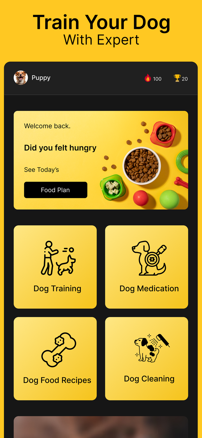 Dog Training  Pet Care Tricks