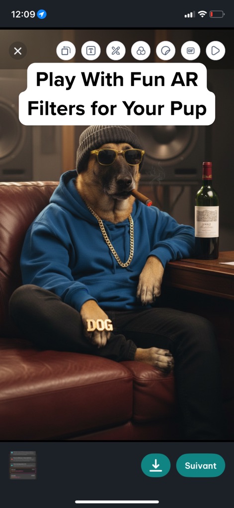 DogPack: Dog Friendly Spots - Esta ferramenta permite aos usuários aplicar filtros de Realidade Aumentada (AR) criativos em fotos de seus cães, oferecendo diversas opções de edição e ferramentas para personalização.