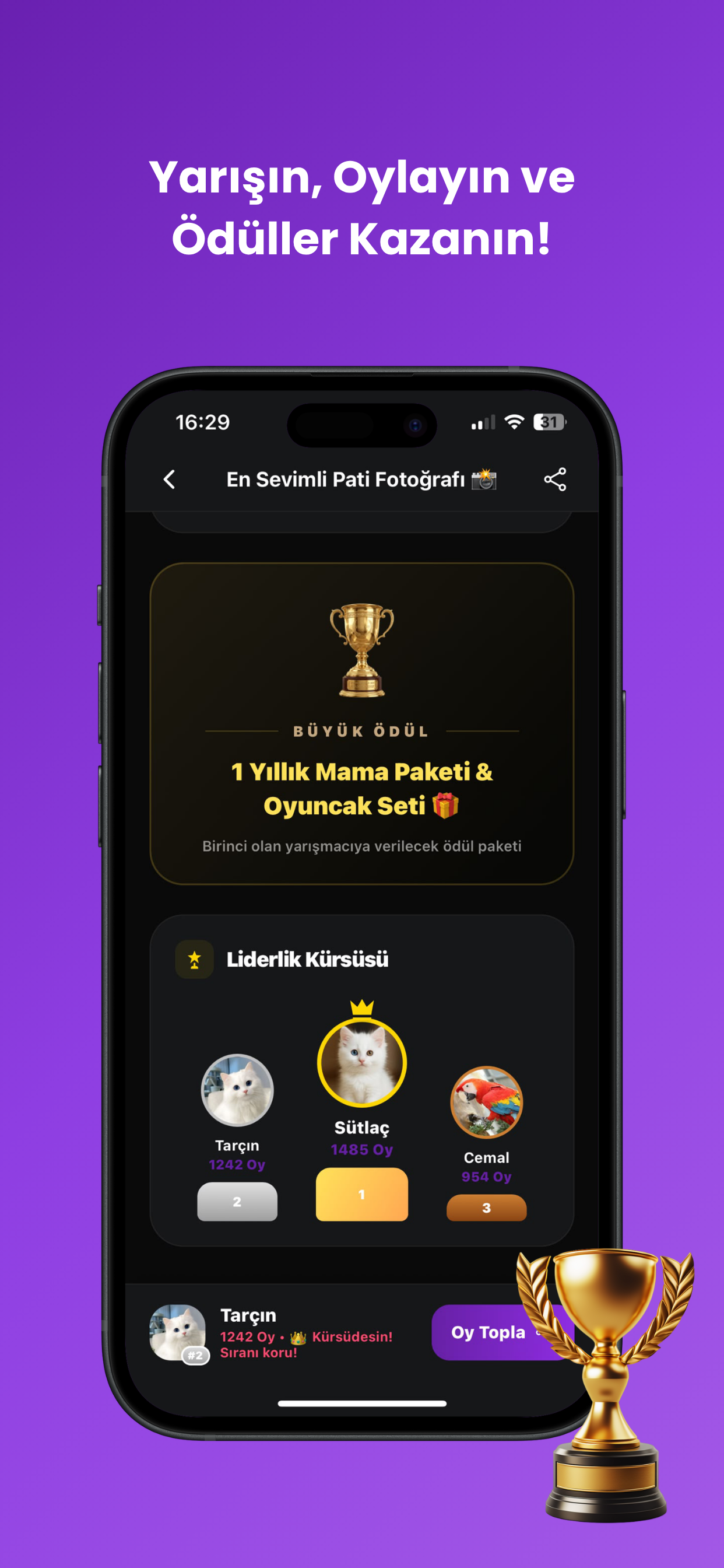 Petiqa screenshot 9