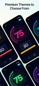 Big Speedometer screenshot