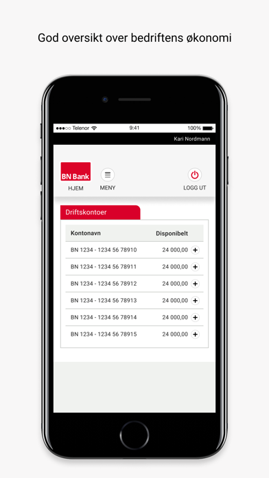 BN Bank Mobilbank Bedrift Screenshot