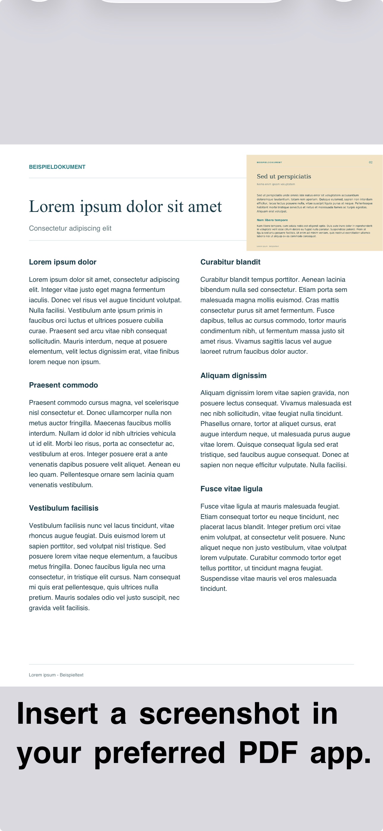 Screenshot 3 of InlayPDF