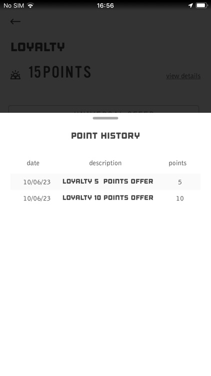 Via 313 Official screenshot-4