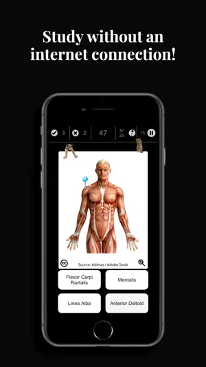 Anatomist - The Anatomy Game screenshot 3