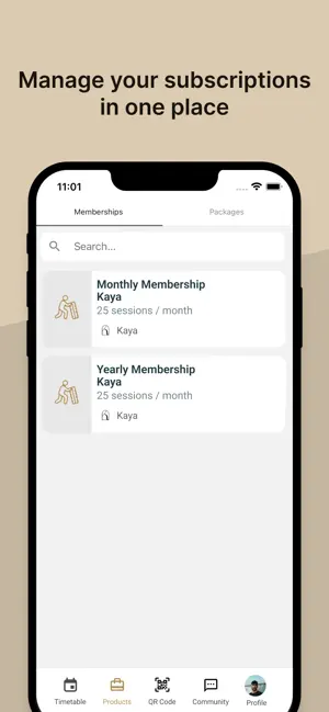 Kaya Studios screenshot 2