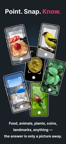 Identify This: AI Identifier iPhone screenshot