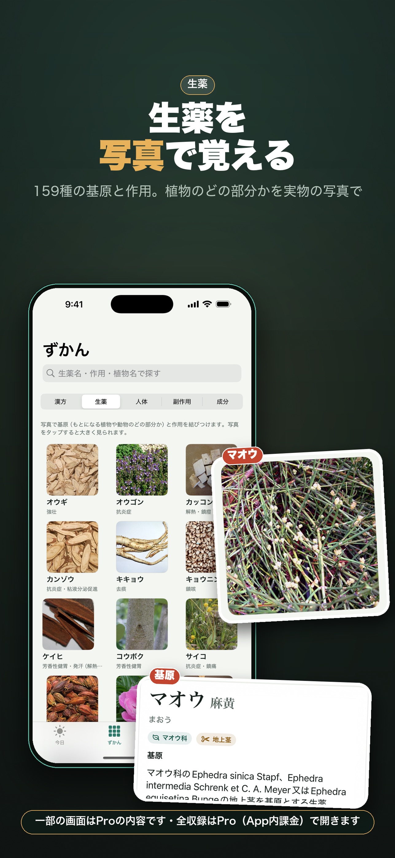 Screenshot 6 of 登録販売者試験 登販ずかん｜漢方と人体を絵で覚える