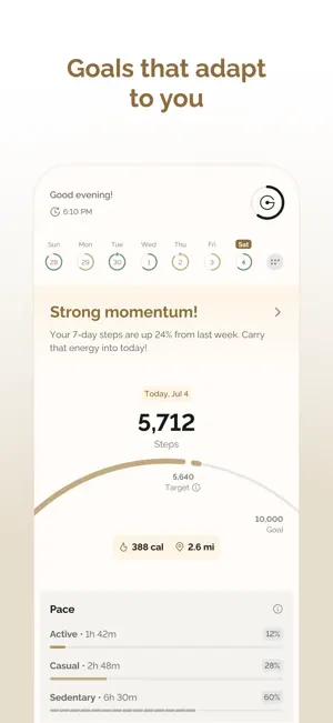 Ganance screenshot 2