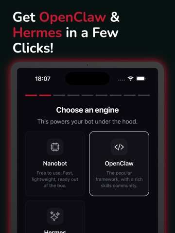 Nanoswarm: OpenClaw App iPad screenshot