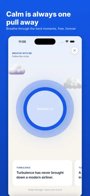 Flybrain: Calm Fear of Flying screenshot 4
