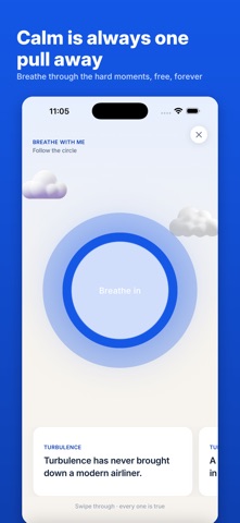 Flybrain: Calm Fear of Flying iPhone screenshot