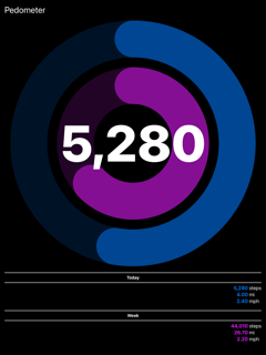 Pedometer Plus screenshot 4