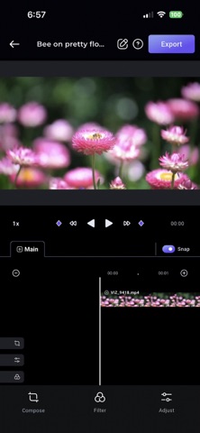 Pxlit: Stabilized Video Editor screenshot