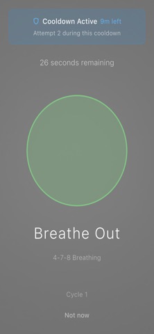 fflow Screenshot 3 of 10
