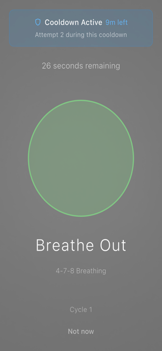fflow Screenshot 3 of 10