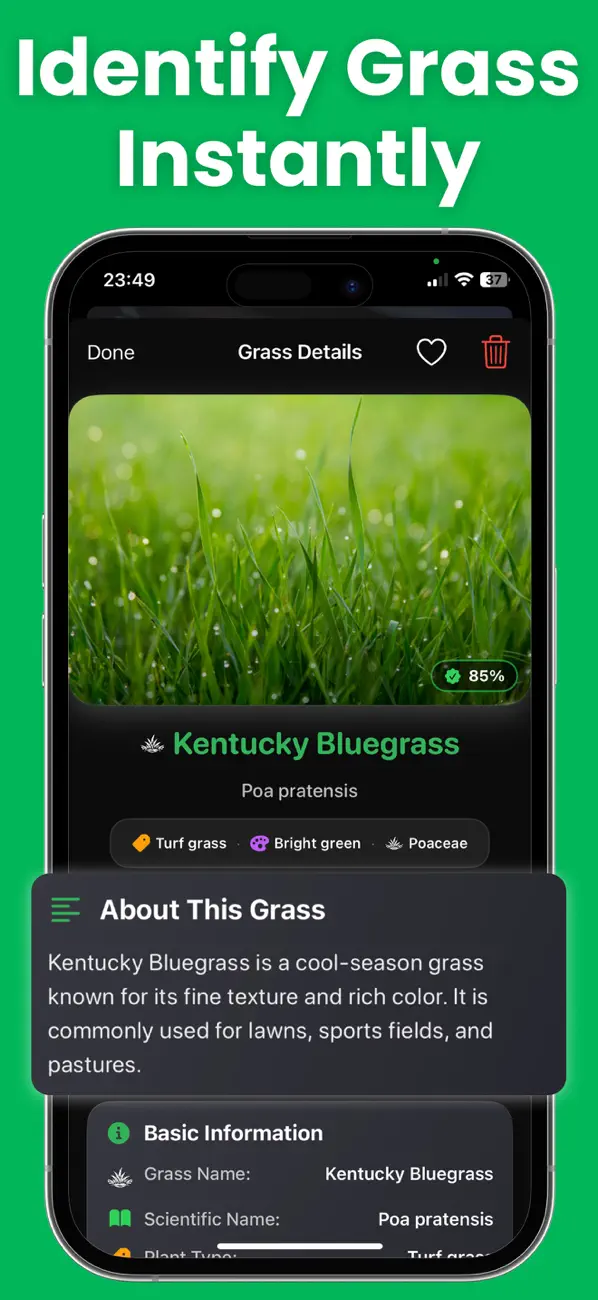 #2. Grassly: Grass Identifier (iOS) Ved: EBUZER SIMSEK