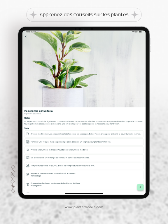 Screenshot #5 pour Planter : Soin des plantes