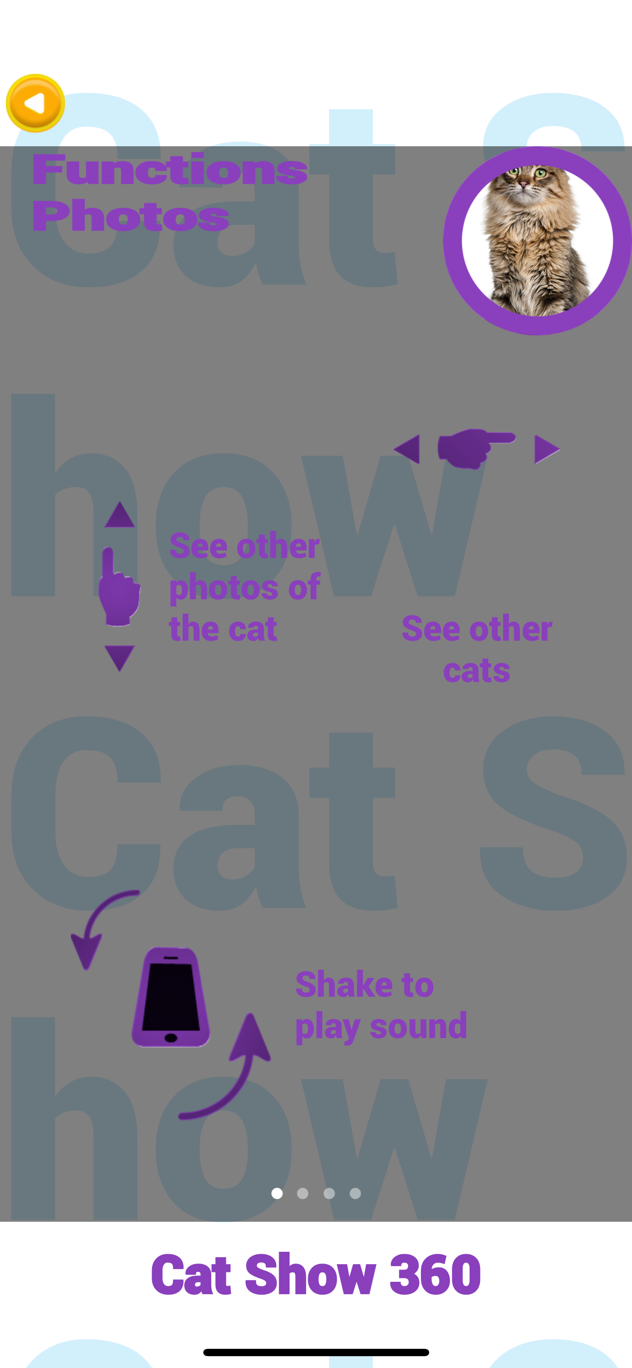 Cat Show 360