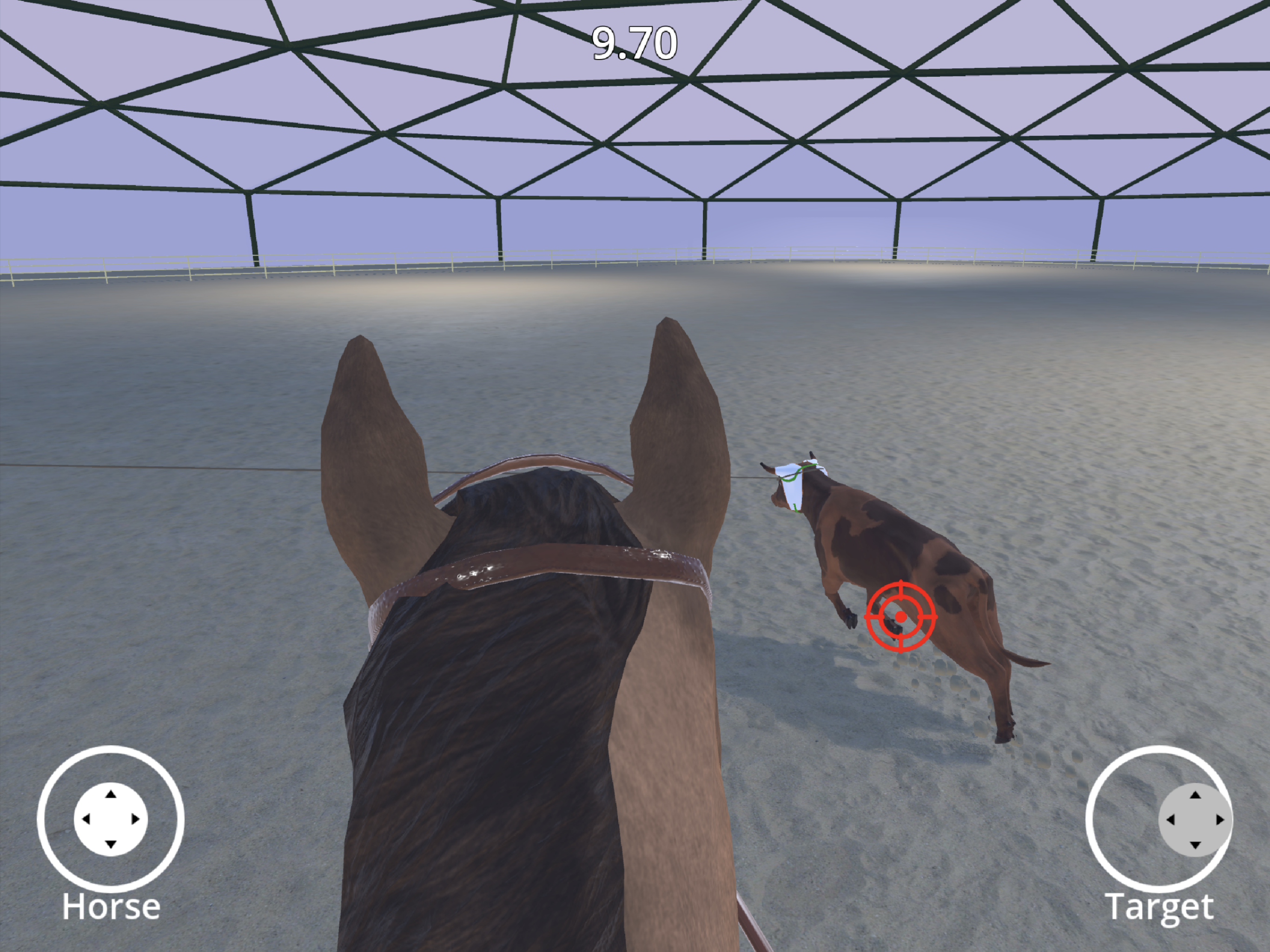 Rider Rodeo