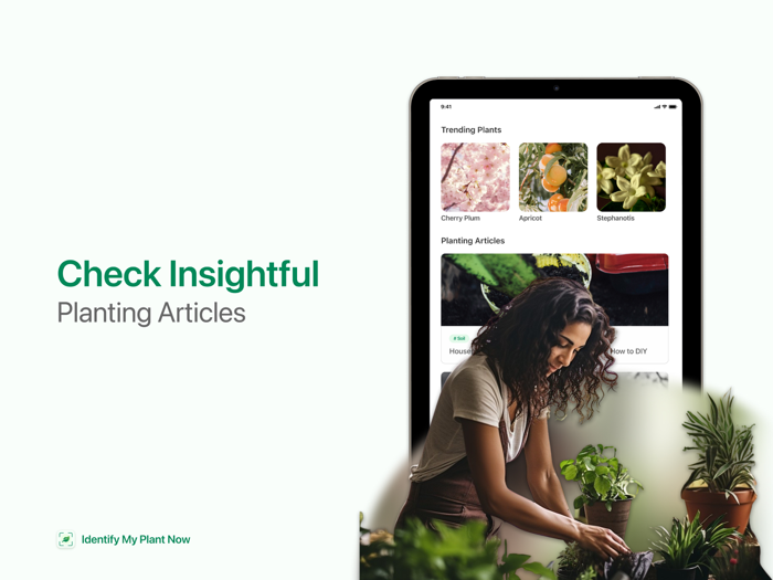 Identify My Plant Now