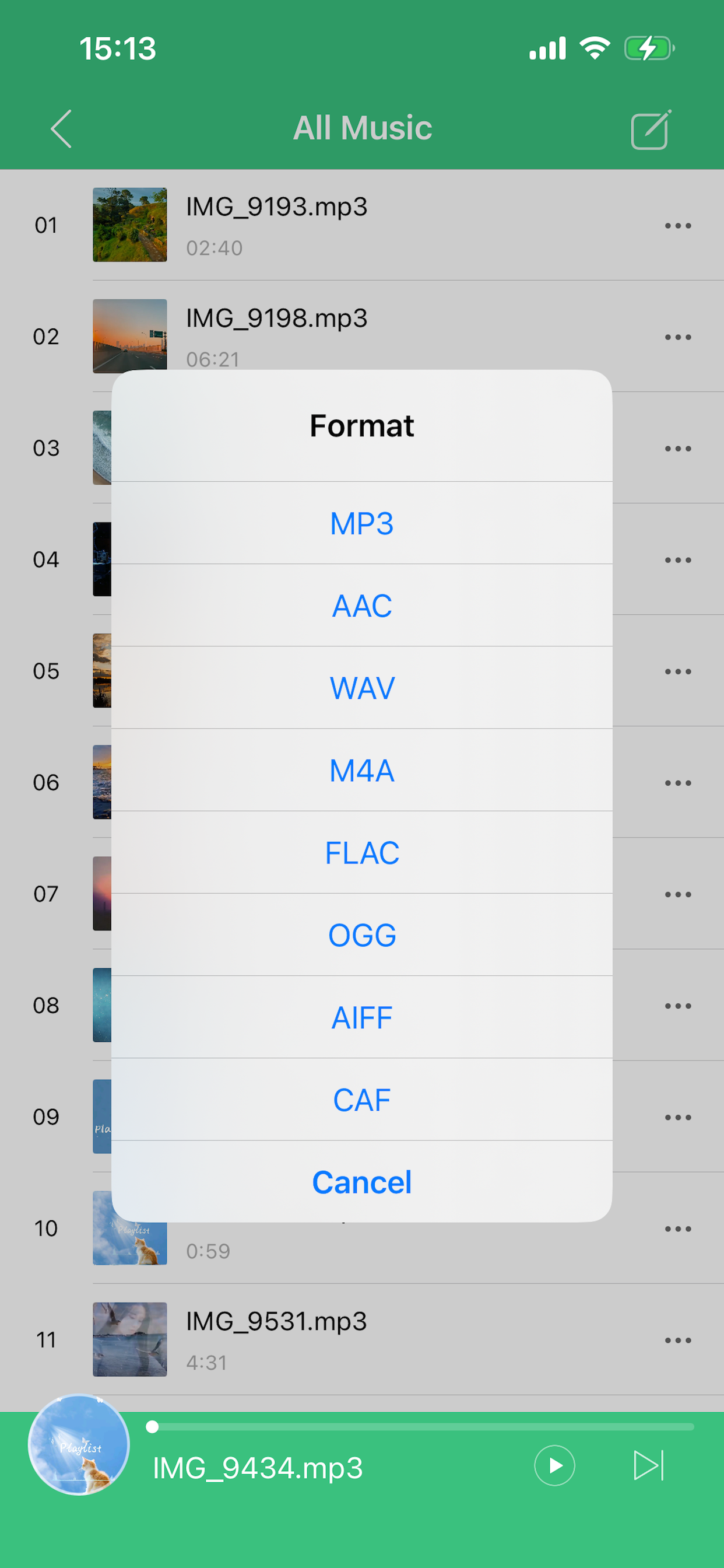 VideoToMP3 Offline Player