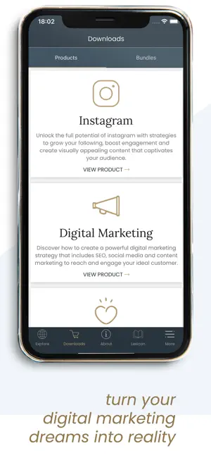 Business MindSetup screenshot 3