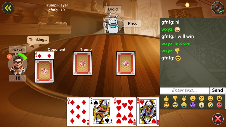 29 Card Game Pro screenshot-5