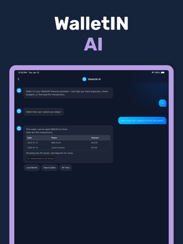 WalletIN: Budget & Expense AI iPad screenshot