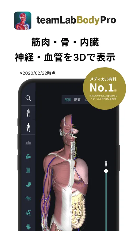チームラボボディ 人体の解剖学 筋肉 解剖 骨格 3d模型 screenshot 1 of 7
