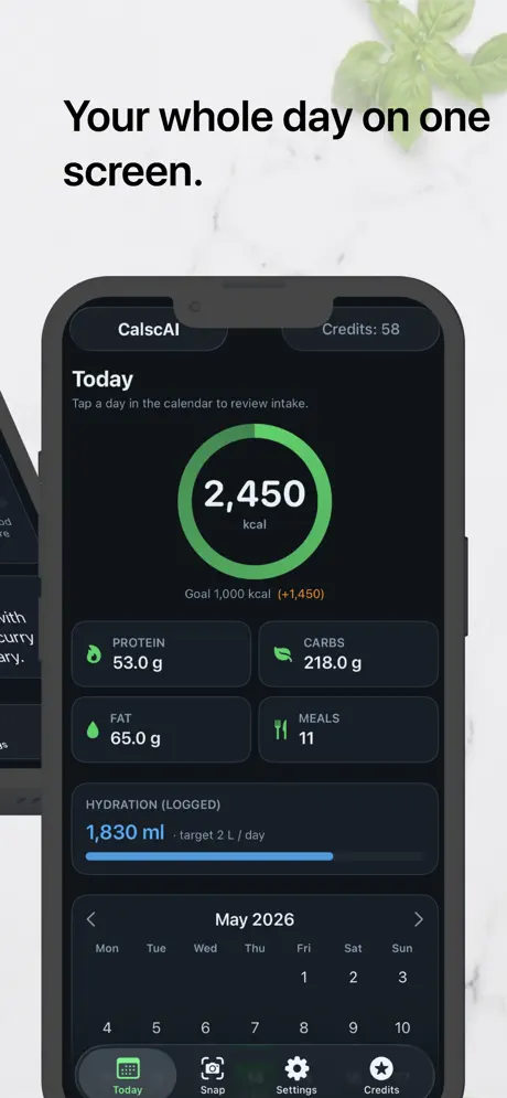 CalScai screenshot 3