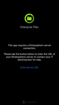 Enterprise Files iPhone image 1