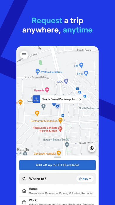 Blue Romania iPhone screenshot 4 - Travel app