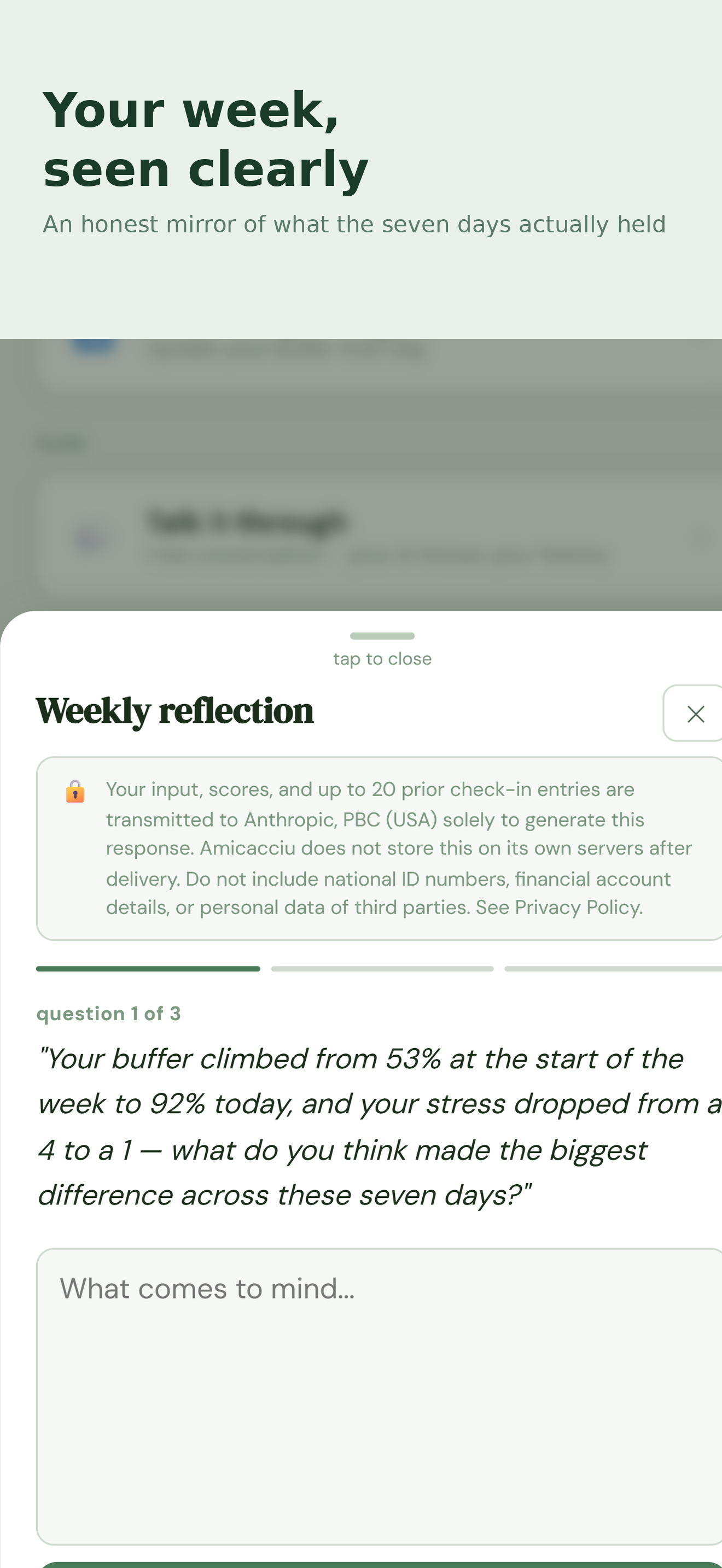 Amicacciu: Resilience Journal screenshot 4
