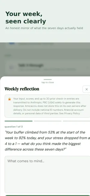 Amicacciu: Resilience Journal screenshot 4