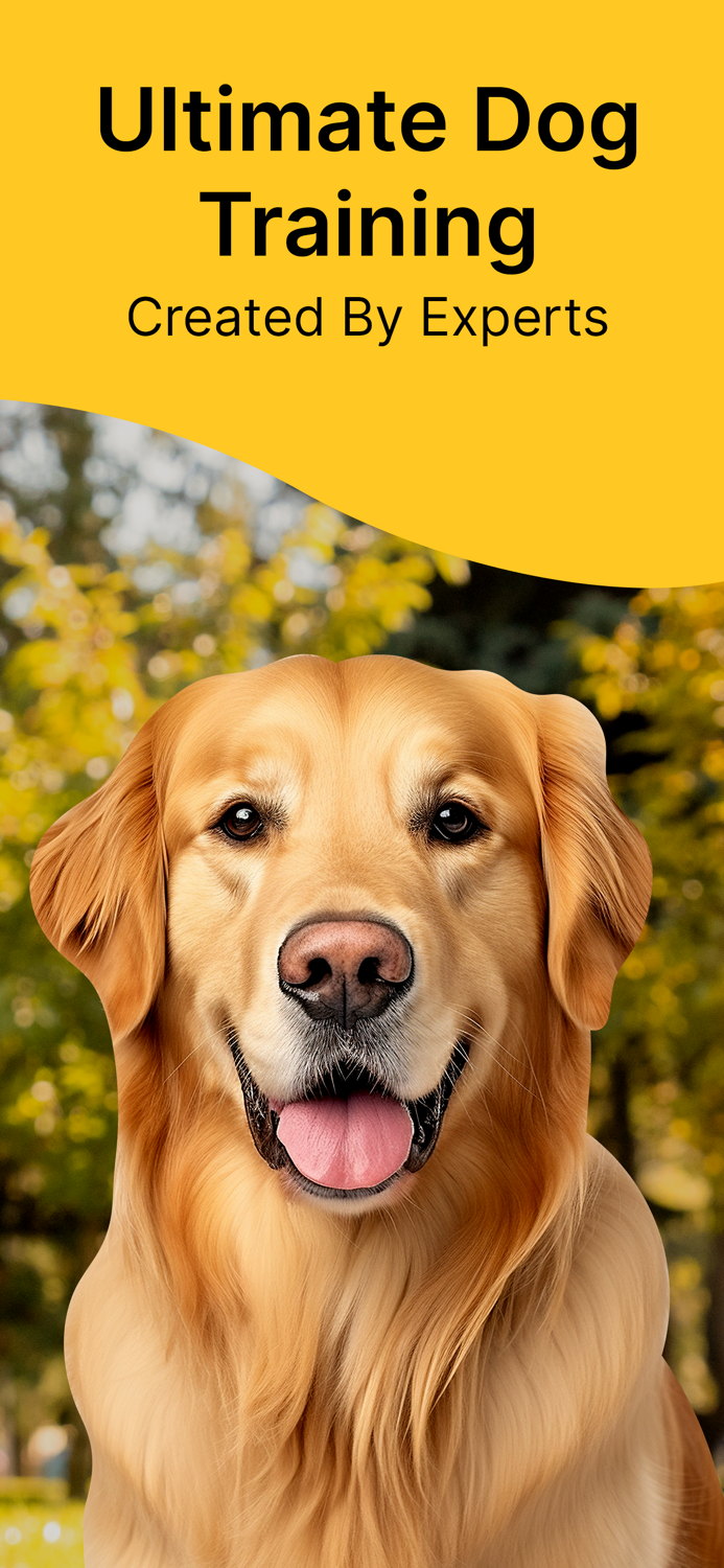 Dog Training  Pet Care Tricks